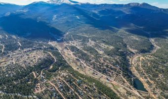 272 Wise Rd, Bailey, CO 80421