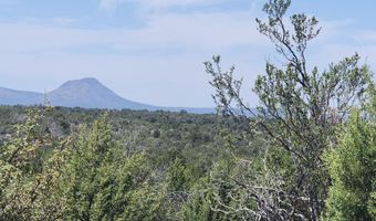 Ranch And Cattle lot 13, Ash Fork, AZ 86320