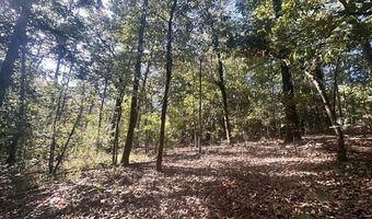 0 Highway 3, Blackville, SC 29817