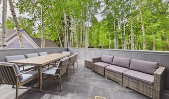 506 W Hallam St, Aspen, CO 81611