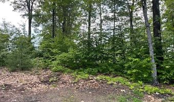 12 Peaked Hill Rd, Ashland, NH 03217