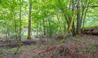 1 Camino Rd, Hot Springs Village, AR 71909