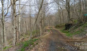 Tyler Lane, Bakersville, NC 28705