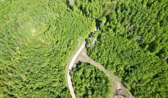 CR 557 40 Road, Arnold, MI 49819