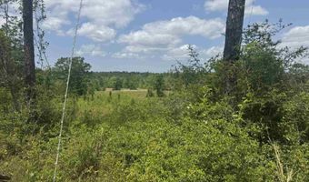 39207-1 State Highway 59, Bay Minette, AL 36507