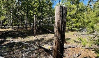 NHN Perkins Gulch Road, Anaconda, MT 59711