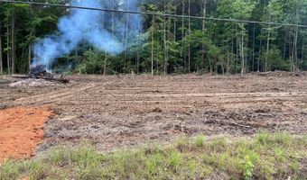 715 Old Pinola Braxton Rd, Braxton, MS 39044
