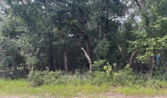 NORTH ROAD, Altoona, FL 32702