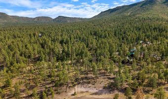 CR 2193, Alpine, AZ 85920