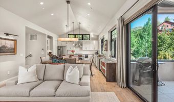 102 Wild Spring Ln, Basalt, CO 81621