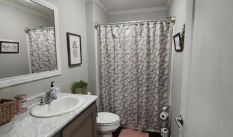 786 Blackberry Rd, Baconton, GA 31716