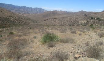 028 N Hughes Cyn, Acton, CA 93510