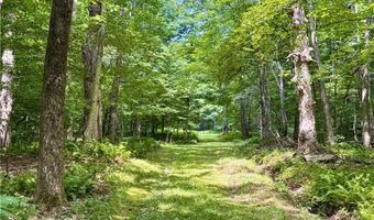 253 Davis Hollow Rd, Andes, NY 13731