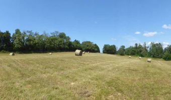 1576 Sheltontown Rd, Albany, KY 42602