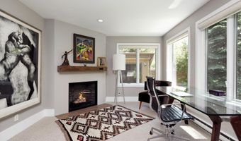 1145 Black Birch Dr, Aspen, CO 81611