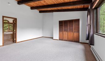 272 DORIS Dr, Breckenridge, CO 80424