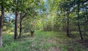Tract 9 Highway 70, Bennington, OK 74723