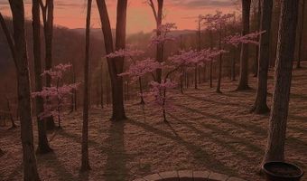 577 Schluersburg Rd, Augusta, MO 63332