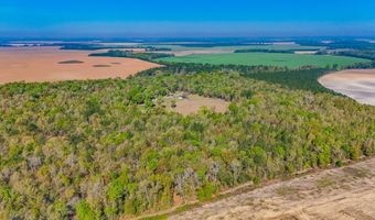 2970 Cooktown Rd, Bainbridge, GA 39817