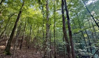 874 E Hwy 30, Booneville, MS 38829