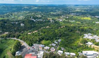 CARR 617, Morovis, PR 00687