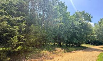 COUNTY ROAD 49, Beaverton, AL 35544