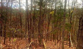 SPITZ Lane, Basye, VA 22810