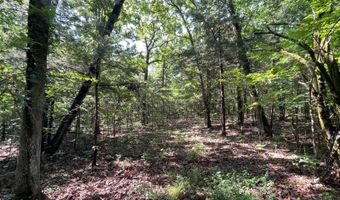 796 Blue Branch Rd, Bennington, OK 74723