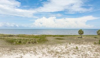 722 Bald Point Rd, Alligator Point, FL 32346