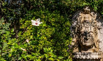 5630 Buffwood Pl, Agoura Hills, CA 91301