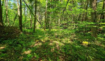 1905 Camp Munn Rd, Bradford, VT 05033