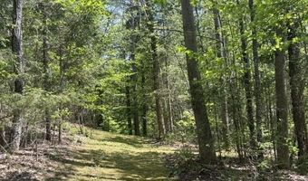 Gold Coast Road, Bridgewater, VT 05034