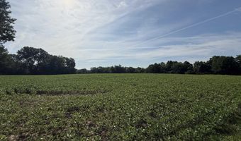 V/L N 800 E, Albany, IN 47320