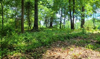 Millingport Road 1, Albemarle, NC 28001