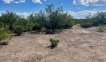 21 Appaloosa Road Rd, Caballo, NM 87931