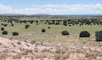River Meadows Ranch lot 214, Concho, AZ 85924