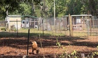 4760 NW 55th Ave, Bell, FL 32619