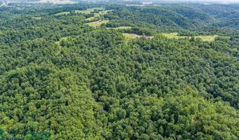 Tract # 1 Willis Creek Rd, Albany, KY 42602