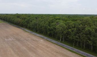 Lot 10 Cedar Grove Church Road, Felton, DE 19943