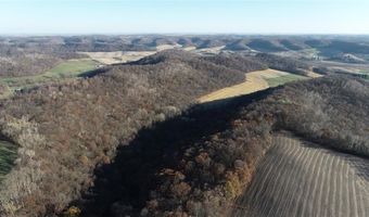 Simons Rd, Alma, WI 54610