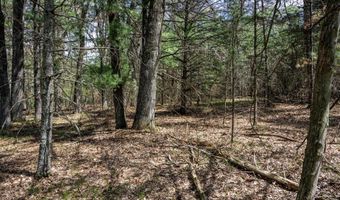 S Badger Lane lot 38, Arkdale, WI 54613