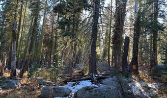 550 Cabbage Patch Log Rd, South Lake Tahoe, CA 95223