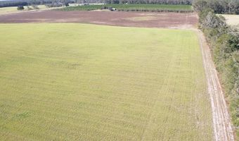 72 Nw Pl, Bell, FL 32619