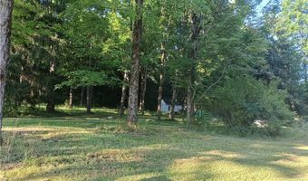 6168 Twitchell Rd, Andover, OH 44003