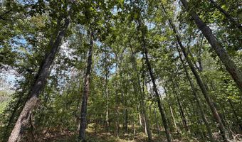 0 GIBSON COVE Dr 3 Acres, Ashville, AL 35953