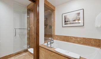 415 E Dean St. Unit 16 Week 9, Aspen, CO 81611