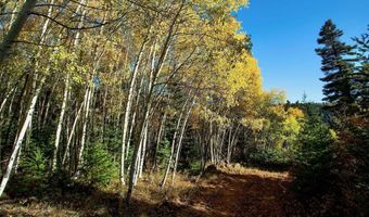1 The Ranch At Angel Fire, Angel Fire, NM 87710