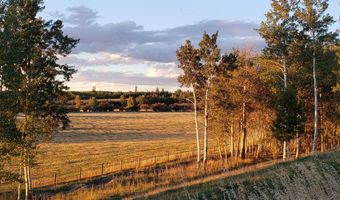 465 E RIGBY Rd, Alta, WY 83414