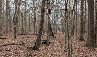 Lots B & C Miller Road, Camden, SC 29020