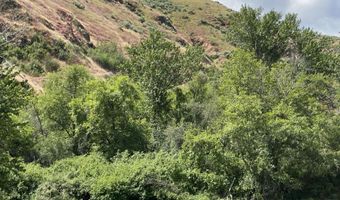 13761 Asotin Creek Rd, Asotin, WA 99402